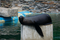 Zoo-Duisburg-Erhard_025