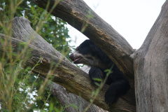 Zoo-Duisburg-Erhard_042