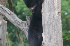Zoo-Duisburg-Erhard_043