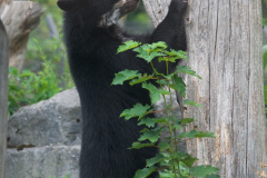 Zoo-Duisburg-Erhard_044