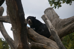 Zoo-Duisburg-Erhard_046
