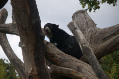 Zoo-Duisburg-Erhard_047