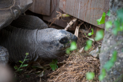 Zoo-Duisburg-Erhard_049