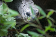 Zoo-Duisburg-Erhard_051