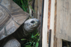 Zoo-Duisburg-Erhard_052