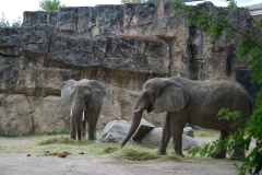 Zoo-Duisburg-Erhard_055