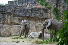 Zoo-Duisburg-Erhard_056