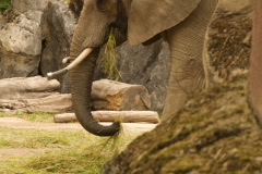 Zoo-Duisburg-Erhard_057