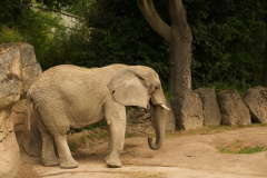 Zoo-Duisburg-Erhard_058