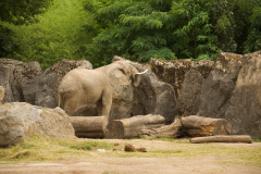 Zoo-Duisburg-Erhard_060