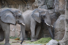 Zoo-Duisburg-Erhard_062