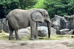 Zoo-Duisburg-Vera_002