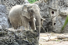 Zoo-Duisburg-Vera_005