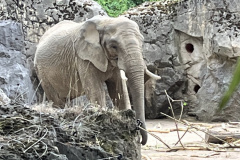 Zoo-Duisburg-Vera_006