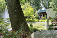 Zoo-Duisburg-Vera_015