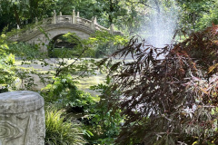 Zoo-Duisburg-Vera_016