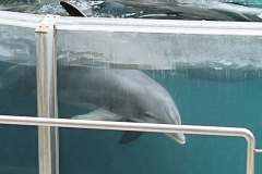 Zoo-Duisburg-Vera_029