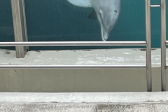 Zoo-Duisburg-Vera_030