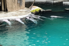 Zoo-Duisburg-Vera_031