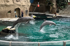 Zoo-Duisburg-Vera_032