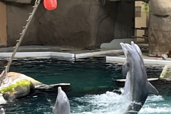 Zoo-Duisburg-Vera_034
