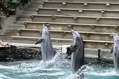 Zoo-Duisburg-Vera_035