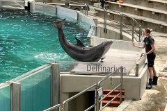 Zoo-Duisburg-Vera_036