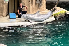 Zoo-Duisburg-Vera_039