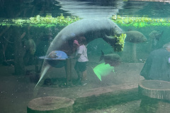 Zoo-Duisburg-Vera_042
