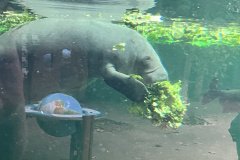 Zoo-Duisburg-Vera_043